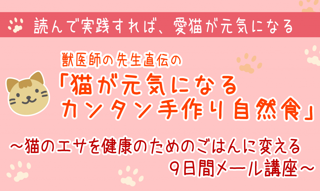 猫の背中が波打つ 猫の知覚過敏症の症状から食事療法まで にゃんずきっちん 猫の健康ごはん 猫の自然食 健康寿命を延ばす生肉の猫の手作りごはん