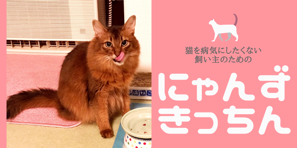 にゃんずきっちん 猫の健康ごはん 猫の自然食 健康寿命を延ばす生肉の猫の手作りごはん