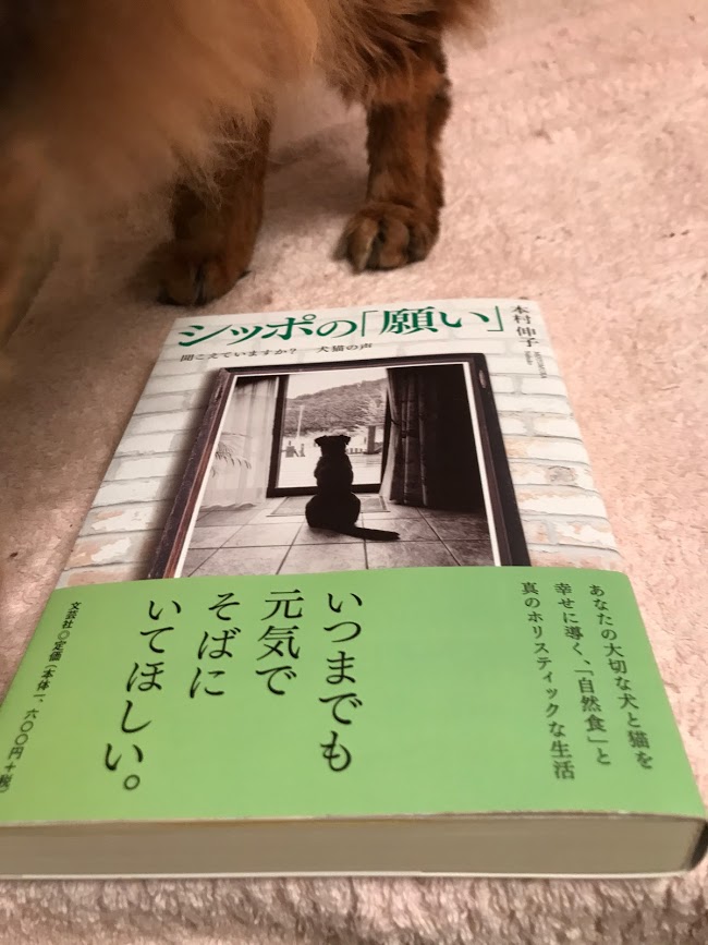 獣医師本村伸子先生の新刊「シッポの願い」～聞こえていますか？犬猫の声　が購入できる場所一覧