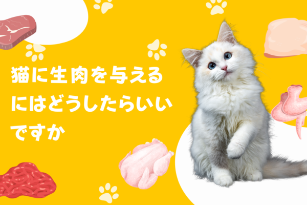 猫に生肉をあげたいのですがどうしたらいいですか？