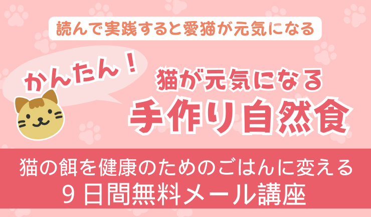 9日間無料メール講座
