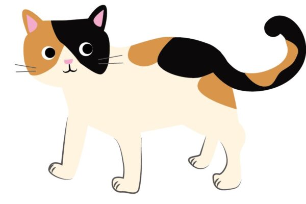 学んで良かった！！この一言に尽きます。（Kさまと猫さん）
