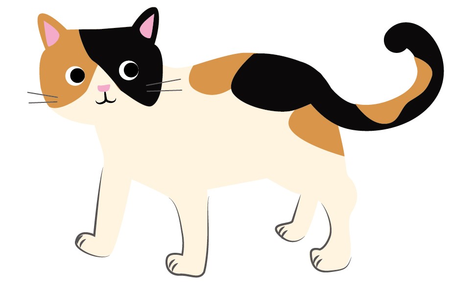 学んで良かった!!この一言に尽きます。(Kさまと猫さん)