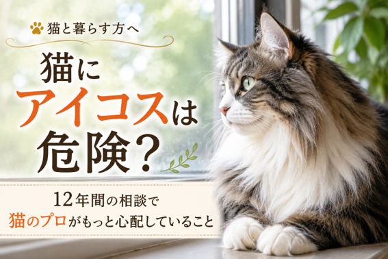猫にアイコスは危険？～プロの私が相談でもっと心配していること