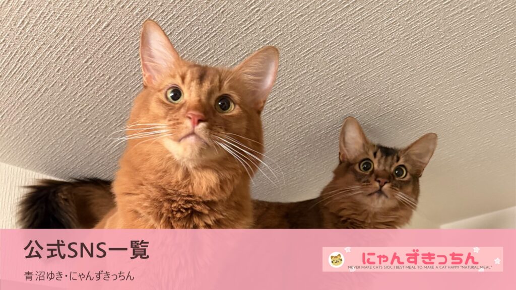 公式SNS一覧 青沼ゆき・にゃんずきっちん 冷蔵庫の上から見下ろす2匹の猫